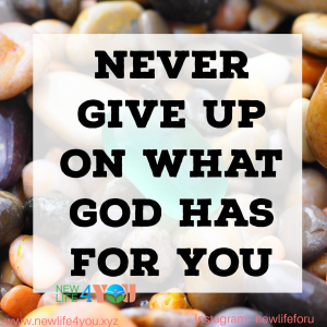 NEVER GIVE UP - newlife4you