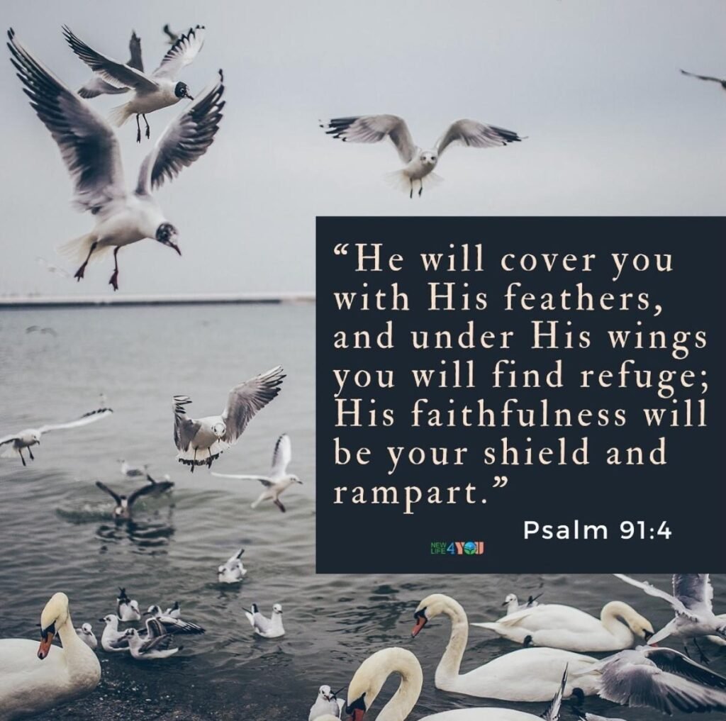 When storms rage, God remains my unshakable shelter.